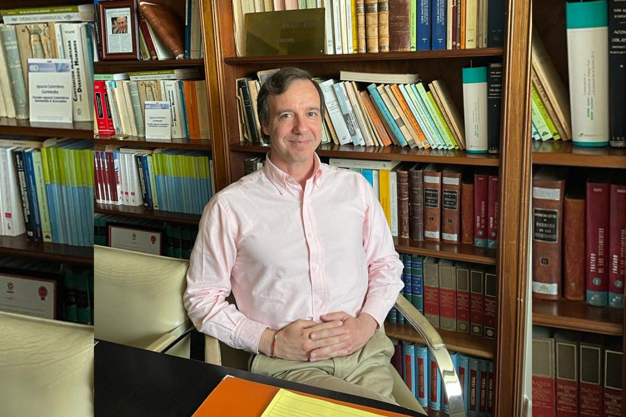 Gonzalo Colombres Garmendia Image